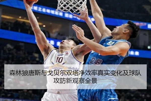 森林狼唐斯与戈贝尔双塔净效率真实变化及球队攻防新观察全景